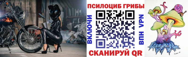 Галлюциногенные грибы прущие грибы  Фёдоровский 